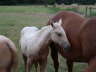 Colt and Mom 1