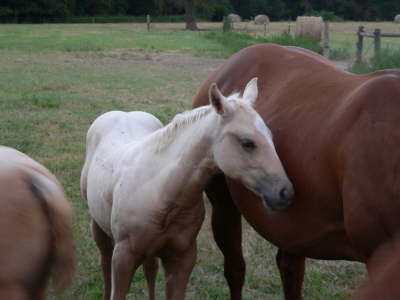Colt and Mom 1