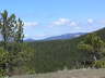 Black Hills
