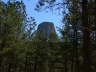 Tower and Trees 1