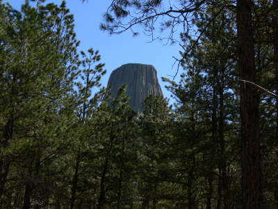 Tower and Trees 1