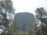 Tower and Trees 2