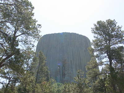 Tower and Trees 2