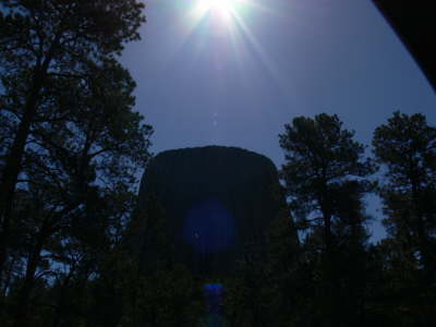 Tower and Trees 3