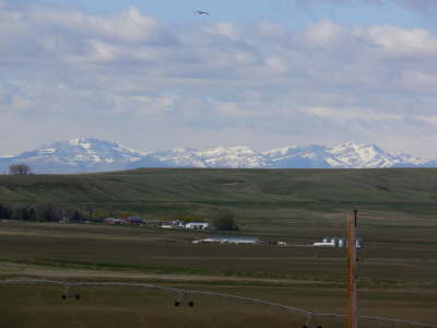Montana Mountains 4