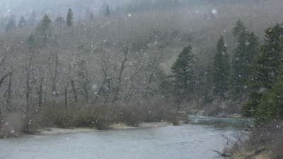 Snow