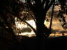 Kalispell Sunset 1
