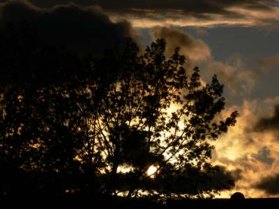 Kalispell Sunset 4
