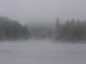Loon Lake 3