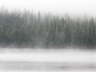 Loon Lake 2