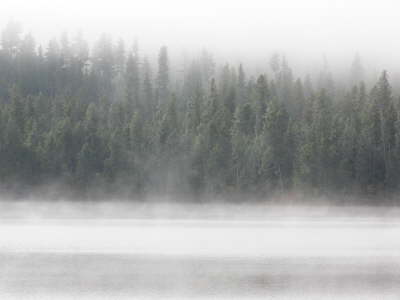 Loon Lake 2