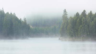 Loon Lake 4