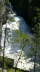 Moyie River Falls 3