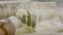 Mammoth Hot Springs 13