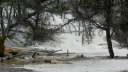 Mammoth Hot Springs 21