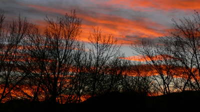 Sunset 5