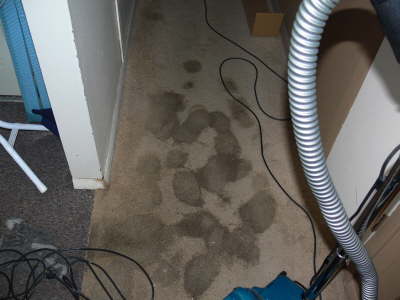 Hallway Carpet