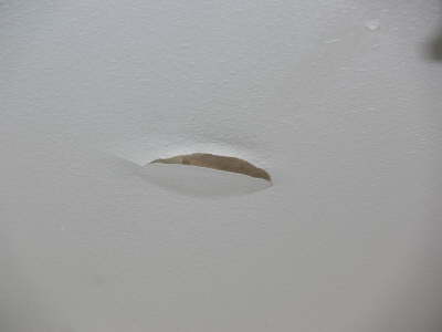 Culprit 1
