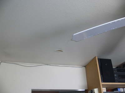 Culprit 2