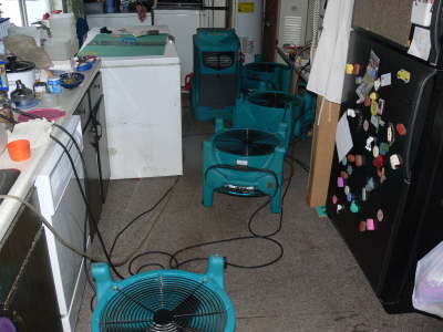 Fans 3