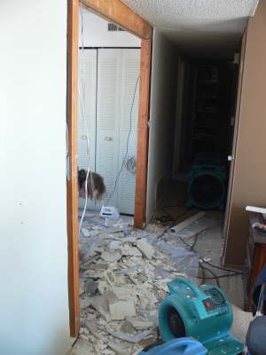 Removal 1