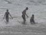 Kids in the Water 2