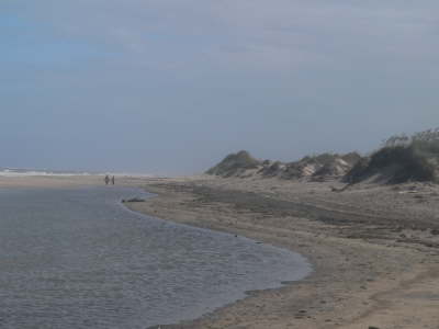 The Beach 1