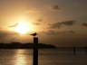 Sunset 3