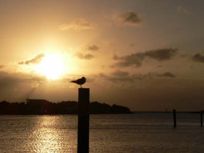 Sunset 3