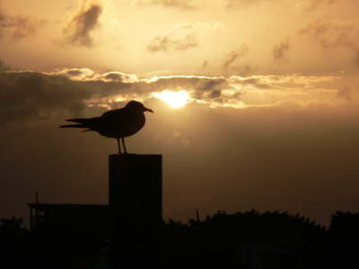 Sunset 4