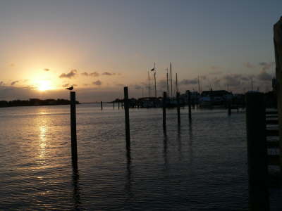 Sunset 5