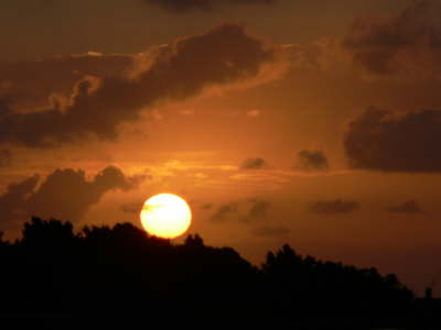 Sunset 10