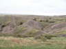 Badlands Grass 1