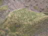Badlands Grass 2