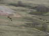 Badlands Buffalo 1