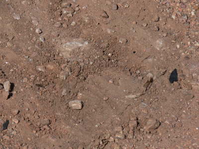 Skid Marks Dirt