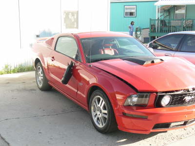 Mustang Right
