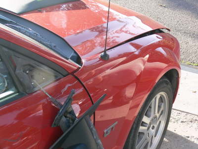 Mustang Scratch Front