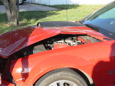 Mustang Front Side